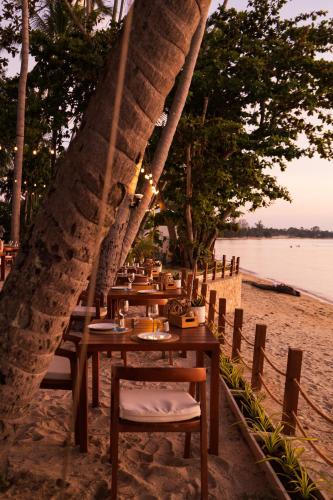 nikki beach resort and spa
