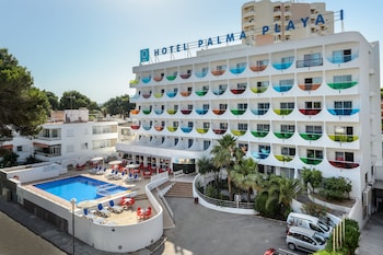 hotel vibra palma cactus