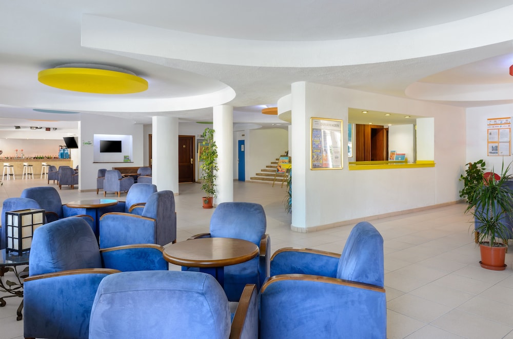 hotel vibra palma cactus