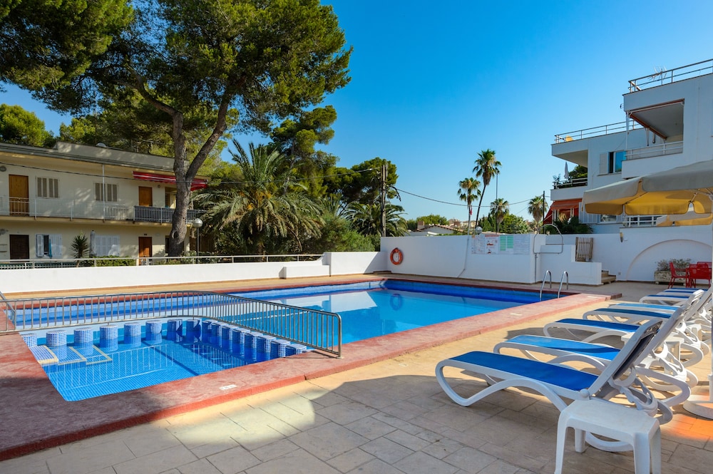 hotel vibra palma cactus
