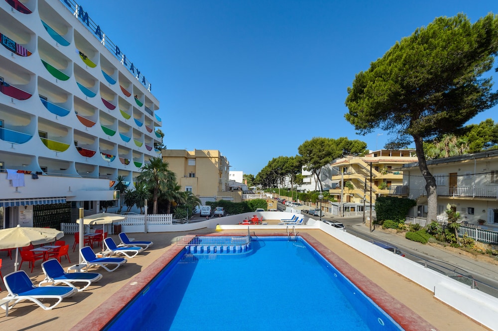 hotel vibra palma cactus