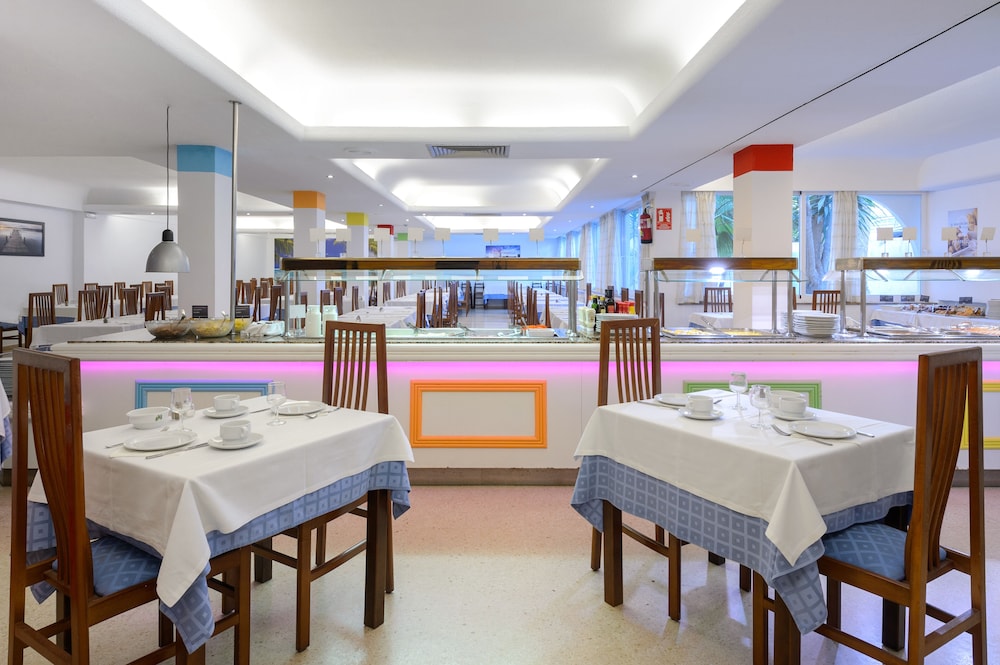 hotel vibra palma cactus