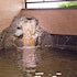 yaoji hakata hotel