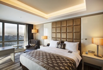 dedeman bostanci istanbulhotel and convention centre
