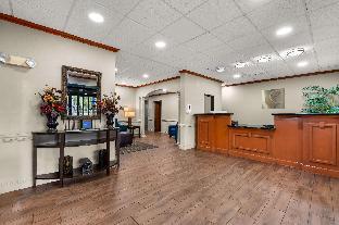 comfort inn and suites chipley