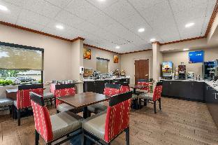 comfort inn and suites chipley