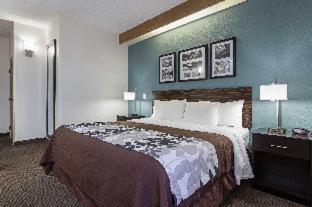 spark by hilton el paso university