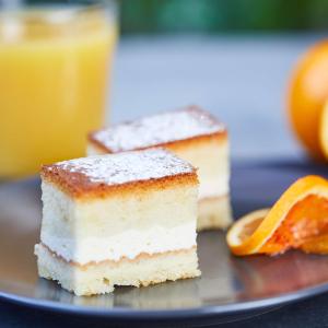 best western plus park hotel pordenone