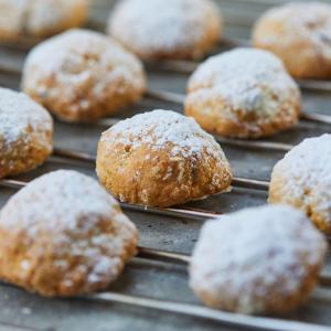 best western plus park hotel pordenone