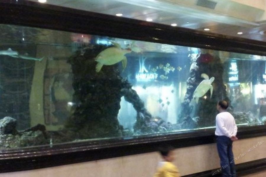 dongguan exhibition international hotel