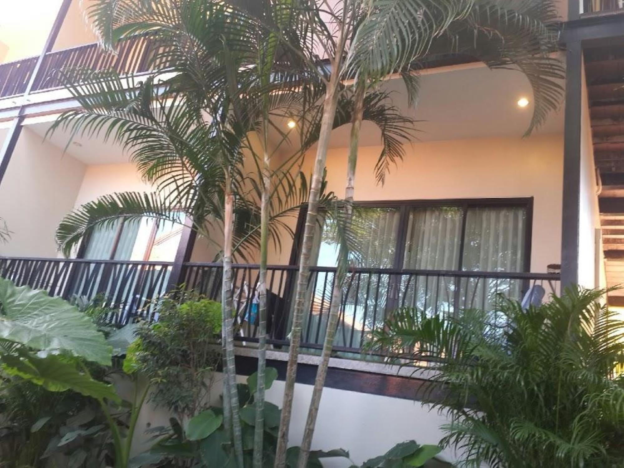 ricci house resort adults only