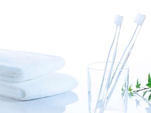 comfort hotel tokyo kanda