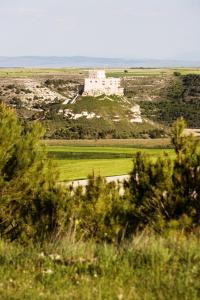 Castillo De Curiel,Mambrilla De Castrejon>>Curiel,4 star