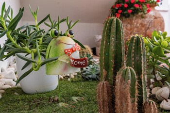 el nogal home hostel