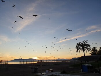 el nogal home hostel