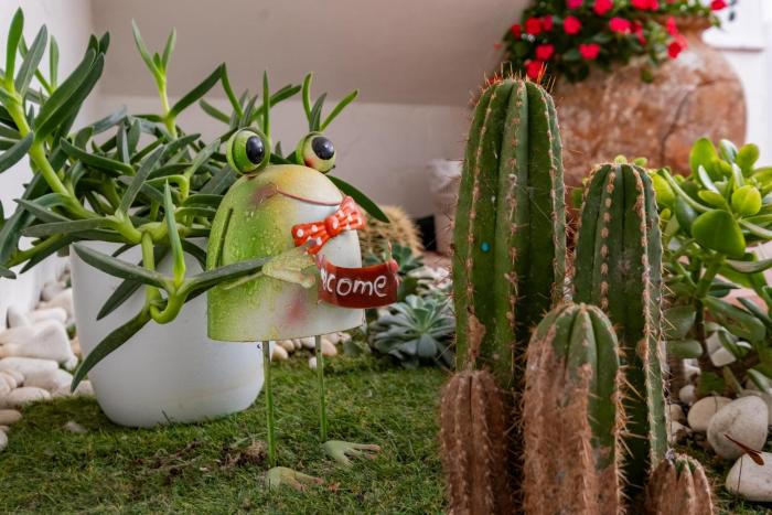 el nogal home hostel