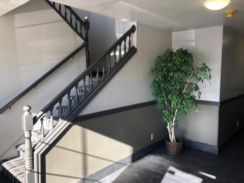 ameri stay inn and suites