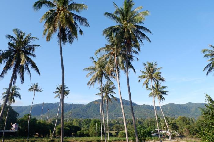 amarin samui hotel