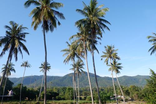 amarin samui hotel