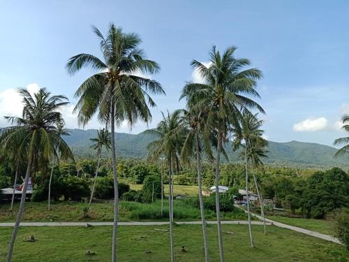 amarin samui hotel