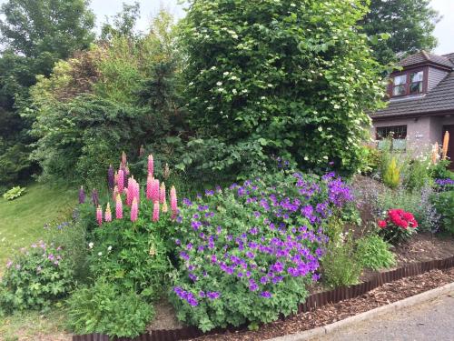 deveron lodge guest house