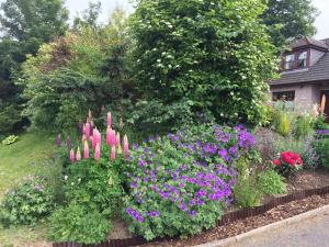 deveron lodge guest house