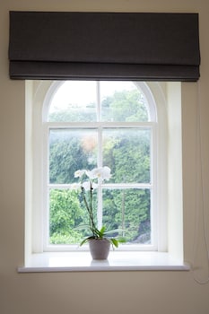 the lamplighter dining rooms