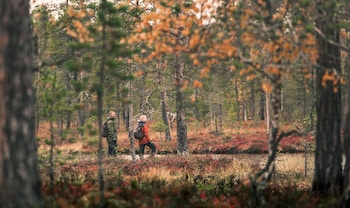 rovaniemi