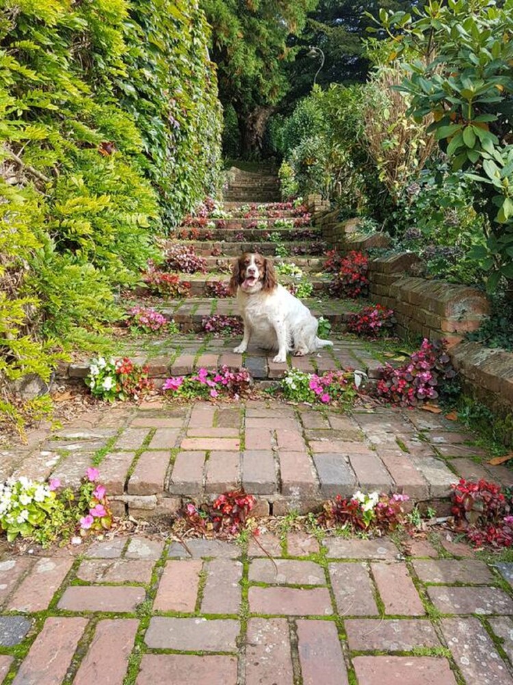 crafted at powdermills