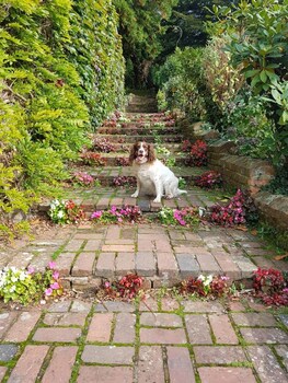 crafted at powdermills