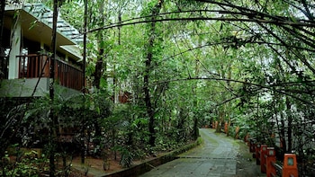 storii by itc hotels wayanad silverwoods