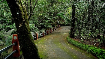 storii by itc hotels wayanad silverwoods