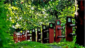 storii by itc hotels wayanad silverwoods