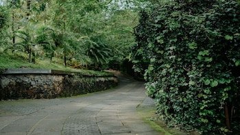 storii by itc hotels wayanad silverwoods