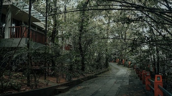 storii by itc hotels wayanad silverwoods