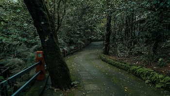 storii by itc hotels wayanad silverwoods