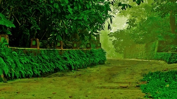 storii by itc hotels wayanad silverwoods