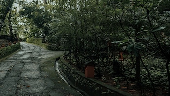 storii by itc hotels wayanad silverwoods
