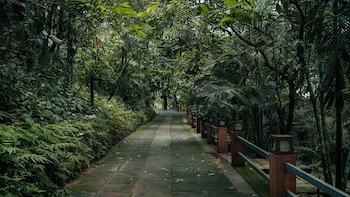 storii by itc hotels wayanad silverwoods