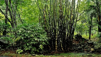 storii by itc hotels wayanad silverwoods