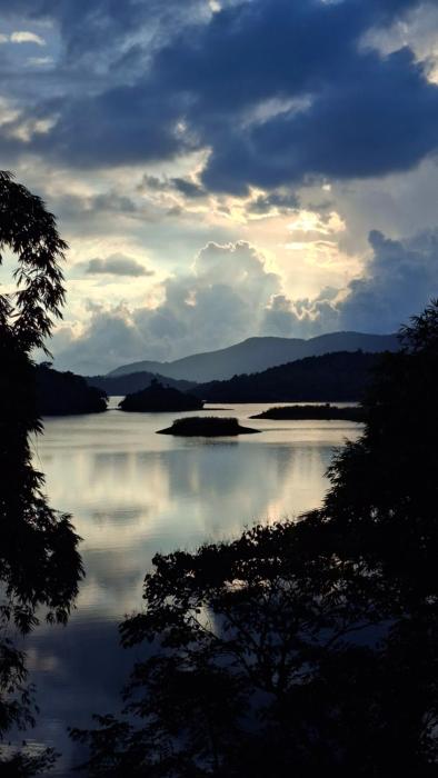 storii by itc hotels wayanad silverwoods