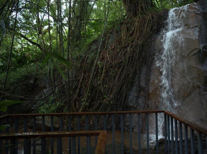 storii by itc hotels wayanad silverwoods