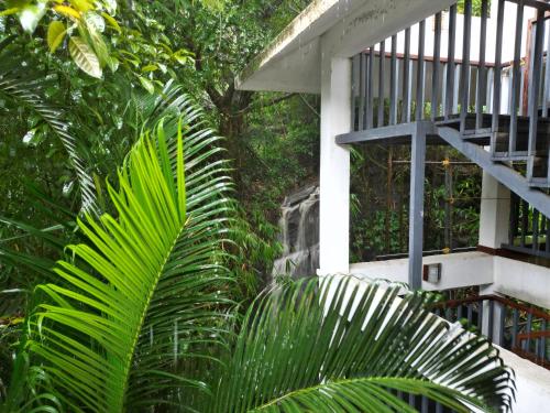 storii by itc hotels wayanad silverwoods