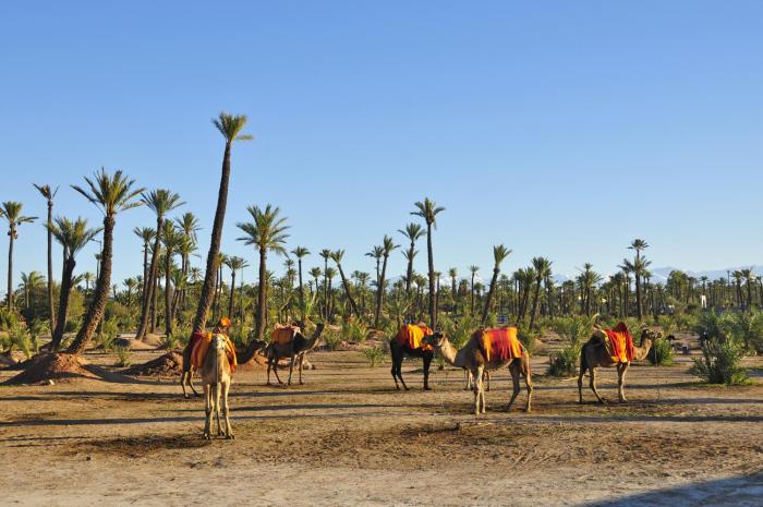 marrakech