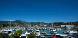 nelson