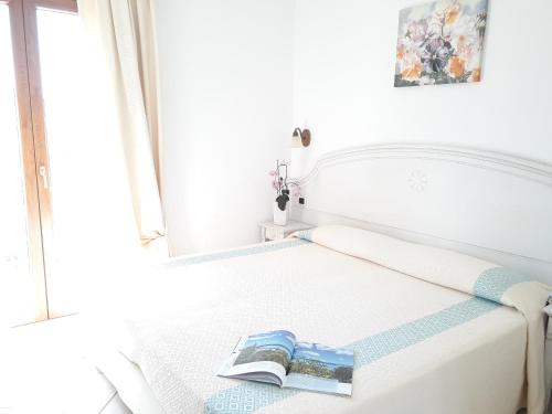 loiri porto san paolo