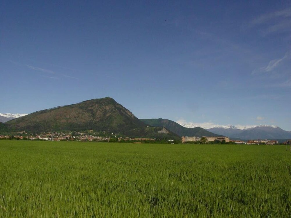 pinerolo