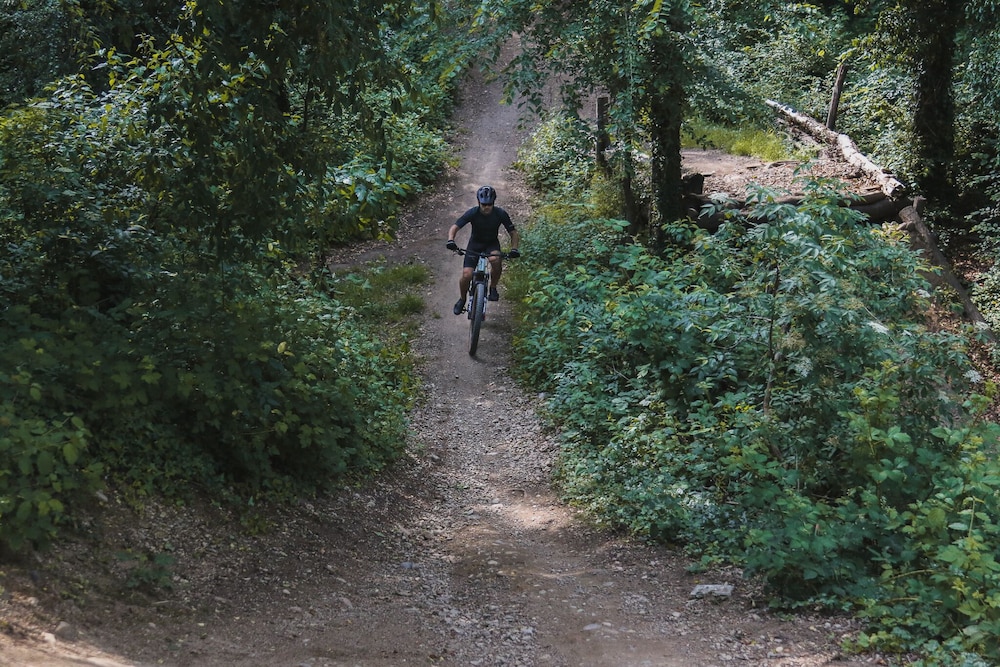 parabiago