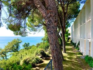 hotel riviera and maximilians