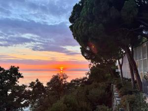 hotel riviera and maximilians